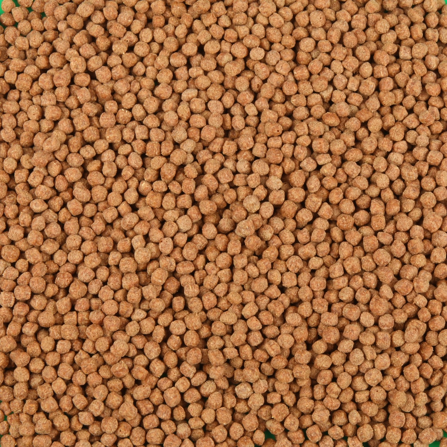 JBL TeichFischfutter Koi ProPond Color S 1,3 kg kaufen bei OBI