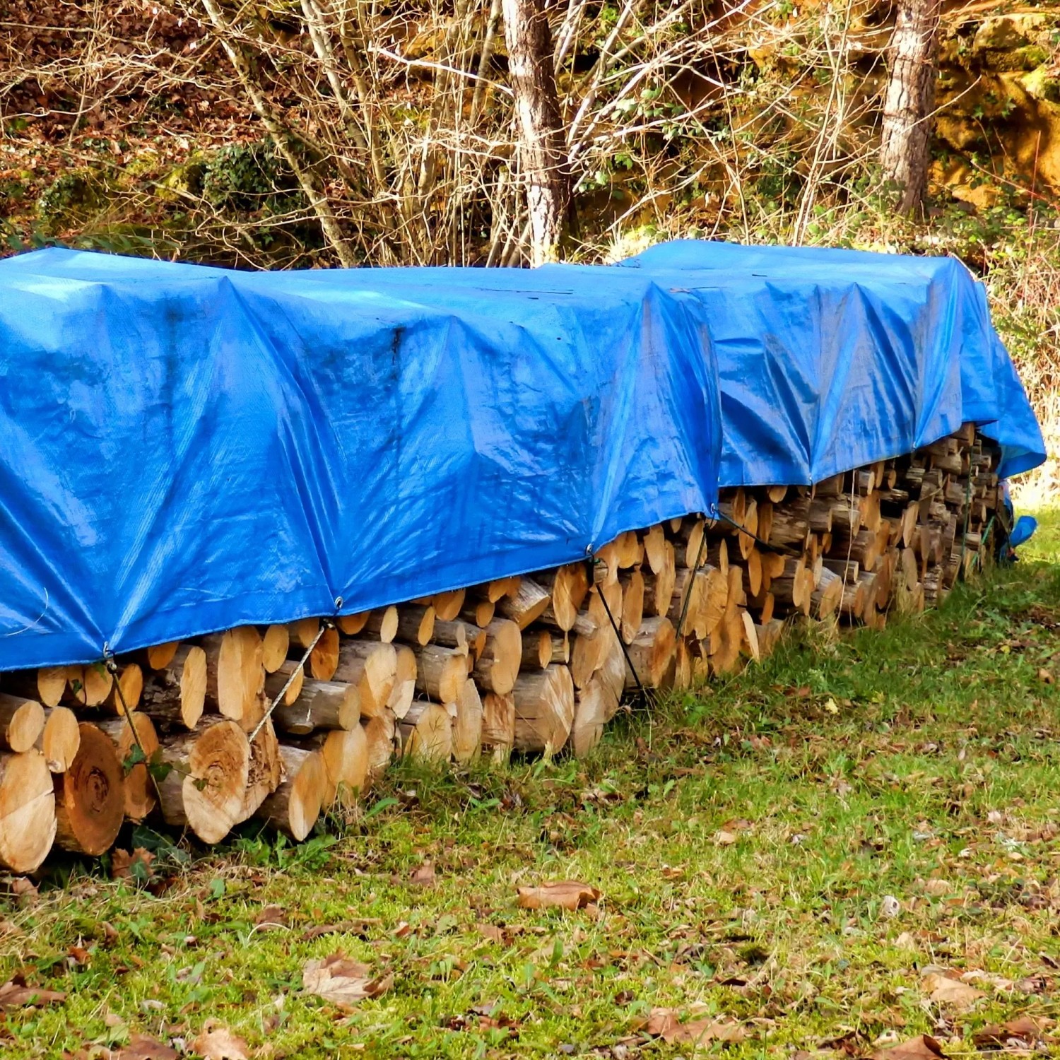 Blaue, wasserdichte Abdeckplane mit Alu-Ösen schützt einen Holzstapel im Garten vor Witterung.