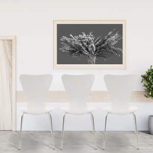 Drei weiße Calisto Besucherstühle aus Holz mit Chromgestell. Modernes Design für Esszimmer & Konferenz.