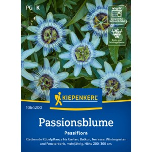 Kiepenkerl Passionsblume Saatgut, exotische Blüten für Garten und Balkon.