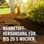 Nahaufnahme: Compo Bio Universal-Erde, torffrei, für gesunde Pflanzen bis zu 5 Wochen.