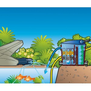 Ubbink AIR 1000 Teichbelüftungspumpe mit 4 Luftausströmern im Gartenteich.