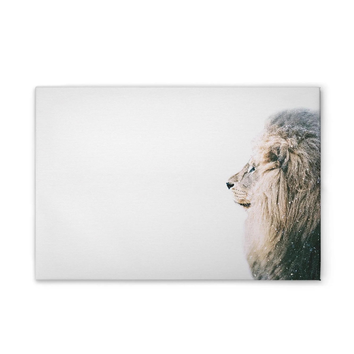 Tadessi Leinwandbild - M1-No.51097 - Tiere Löwe - 60 x 40 cm - Hochformat