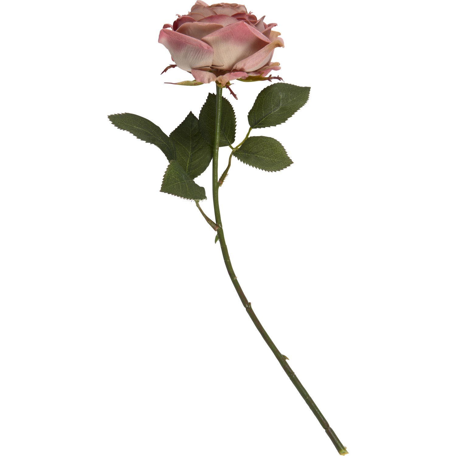 Kunstpflanze Rose Blush Bordeaux 38 cm
