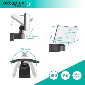 Oktaplex LED Außenstrahler Cali, anthrazit, dreh- und schwenkbar, 30W, warmweißes Licht.