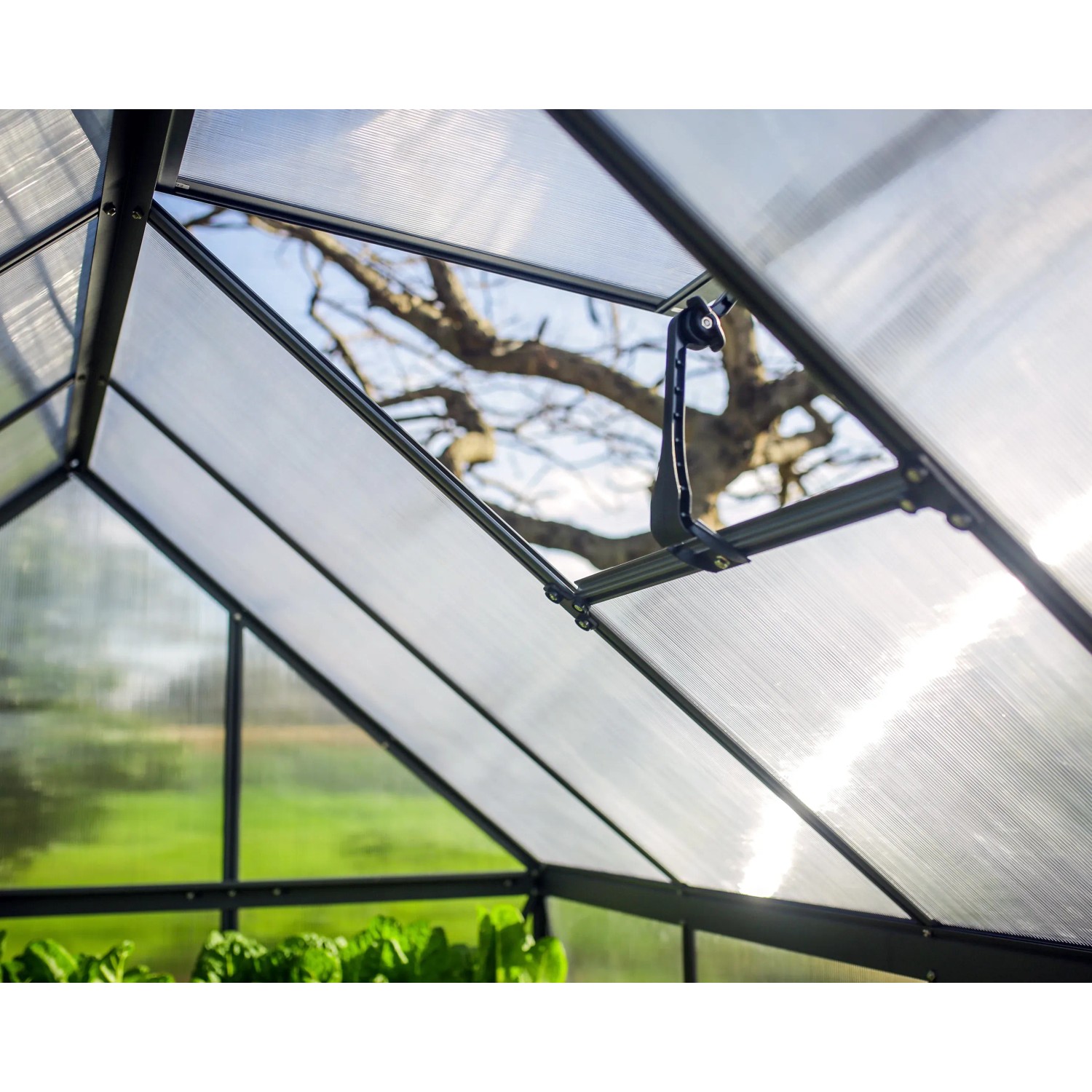 Innenansicht Palram Canopia Gewächshaus, grauer Rahmen, Polycarbonatplatten, Dachfenster geöffnet.