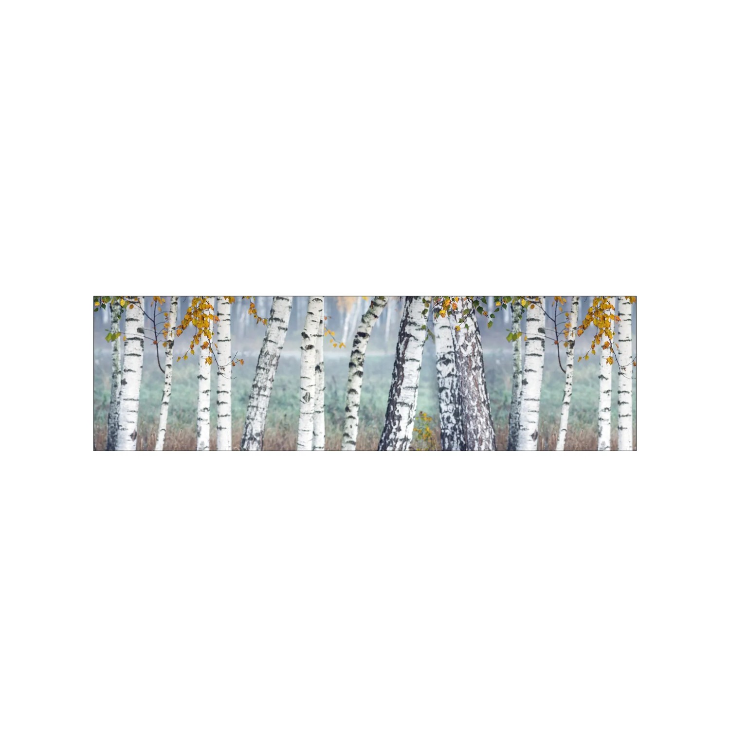 MySpotti Küchenrückwand Profix Cucina Birkenwald 210 x 60 cm Birke-Weiß