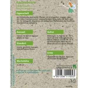 Grüne Fee Andenbeere Inkapflaume Saatgut-Packung aus Graspapier. Physalis peruviana Gemüsesamen für ca. 50 Pflanzen.