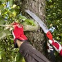 Felco Klappsäge 604 im Einsatz beim Baumschnitt. Gartensäge mit ziehendem Schnitt.