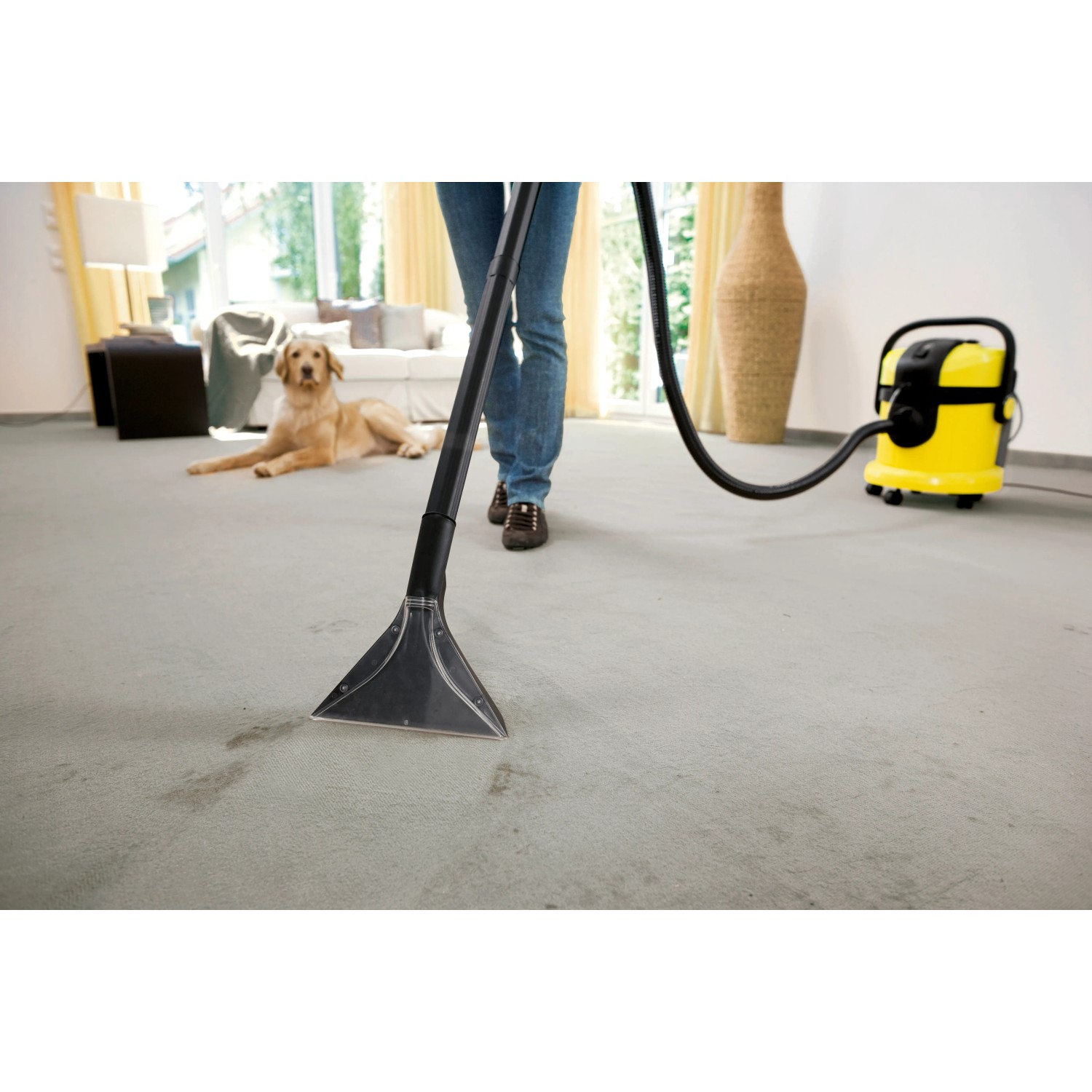 Gelber Kärcher Waschsauger SE 4004 in Anwendung auf Teppich, entfernt Flecken. Hund im Hintergrund.