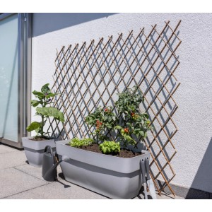Ausziehbares Windhager Weide-Spalier 120x180 cm Natur als Rankhilfe mit Pflanzen auf Balkon.