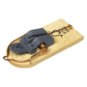 Swissinno FSC®-Holz-Mausefalle, giftfrei und effektiv. Detailaufnahme der Falle mit Auslösemechanismus.
