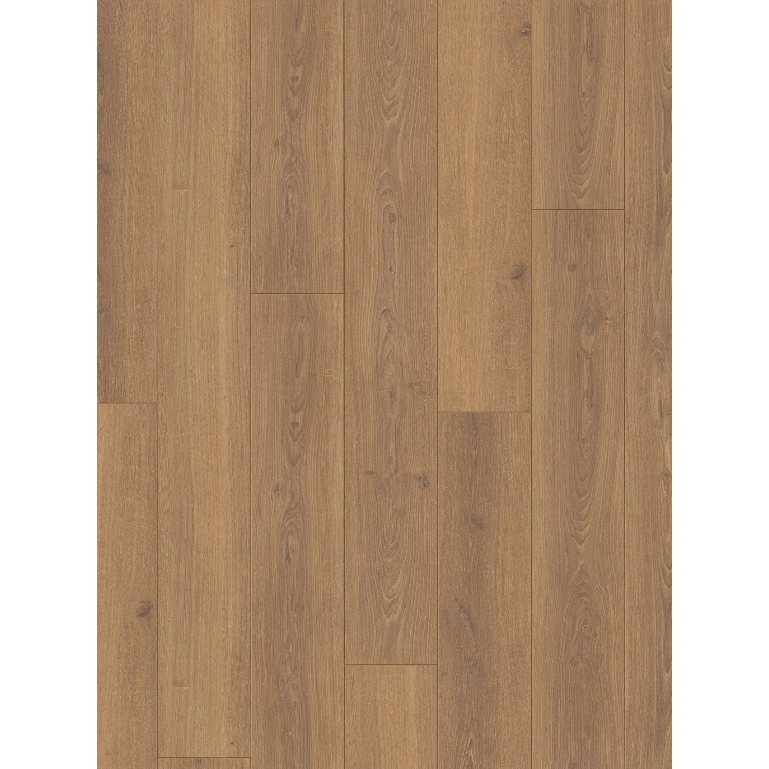 Parador Laminat Trendtime 6 Eiche Studioline Honig, wasserfest, 8mm stark.