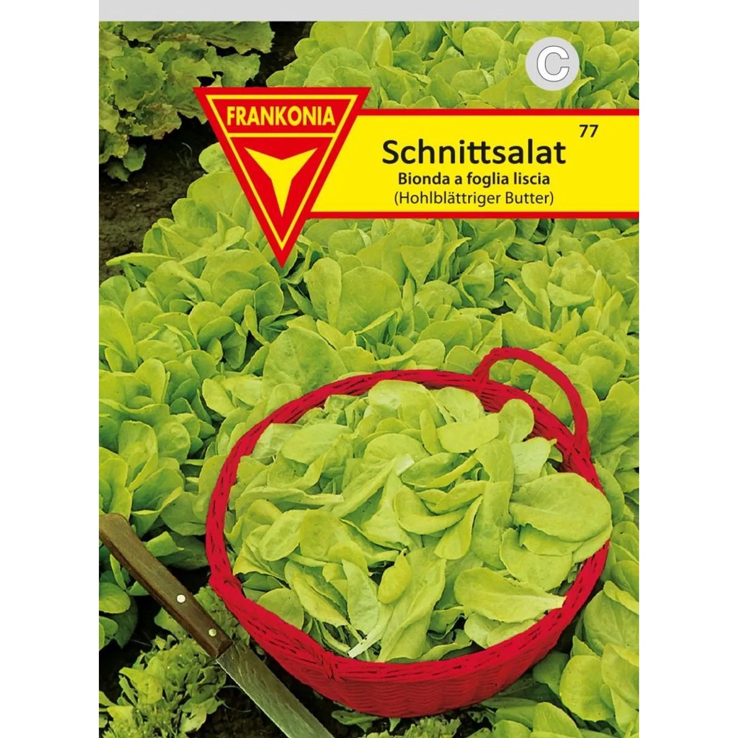 FRANKONIA Schnittsalat Hohlblättriger Butter