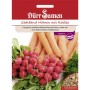Dürr Samen Saatband für Möhren und Radieschen. Packung mit orangefarbenen Karotten, roten Radieschen und Saatband.