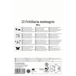 Verpackung Kiepenkerl Blumenzwiebel Schachbrettblumen Mischung