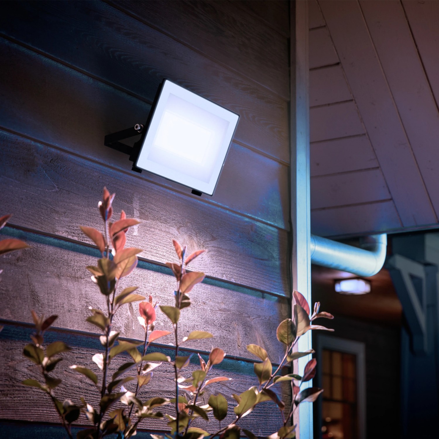 Anthrazitfarbener Philips LED-Außenstrahler Lois, 4500 Lumen, montiert an einer Hauswand.