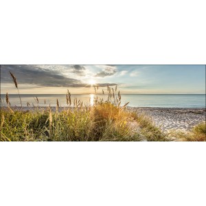Glasbild Wilder Strand, 80x30 cm: Sonnenaufgang über dem Meer mit Strandhafer im Vordergrund.
