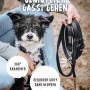 Schwarze Rudelkönig Hundeleine Bella mit gepolstertem Griff und Hund.