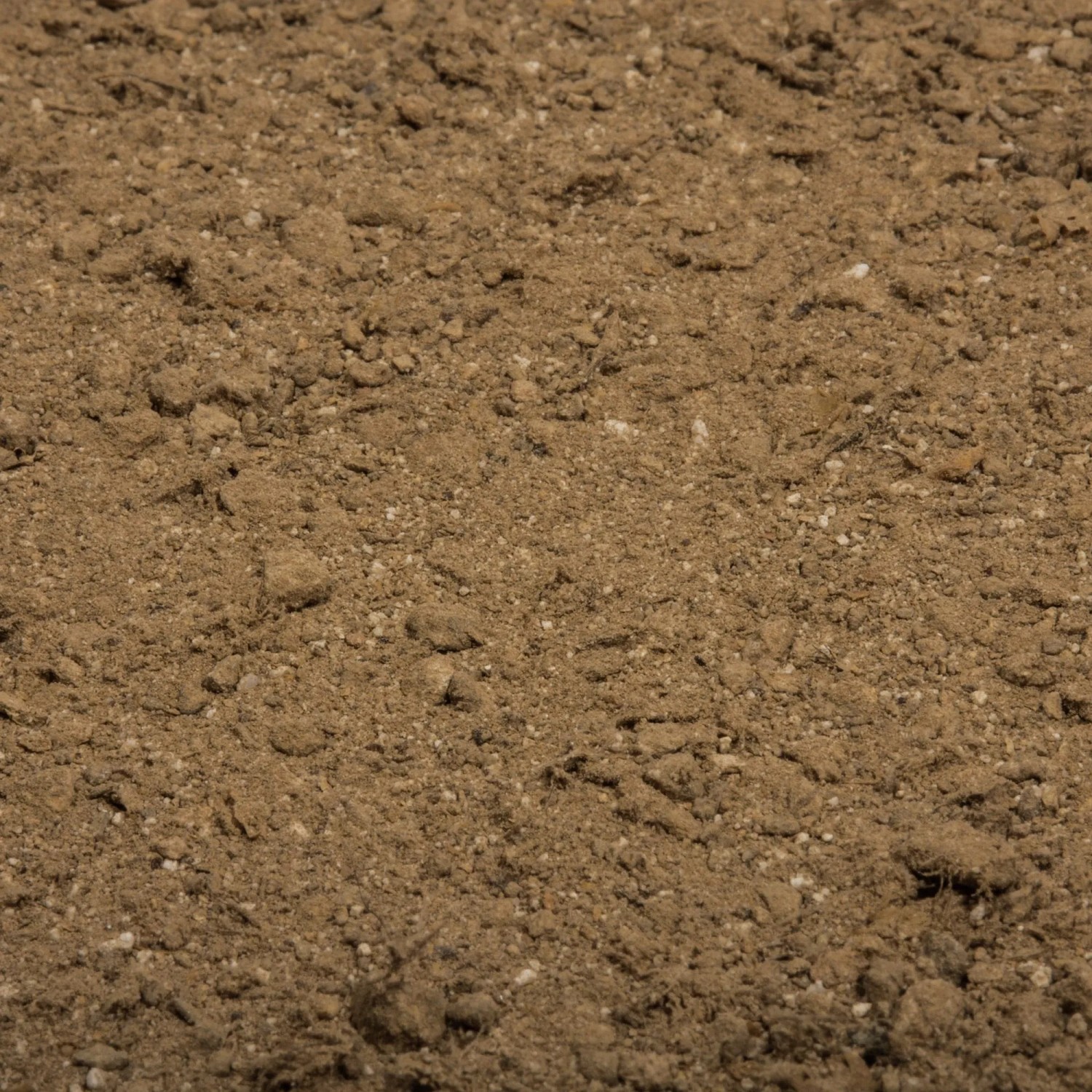 Nahaufnahme von Compo Bio NaturDünger Guano, einem organisch-mineralischen Gartendünger.