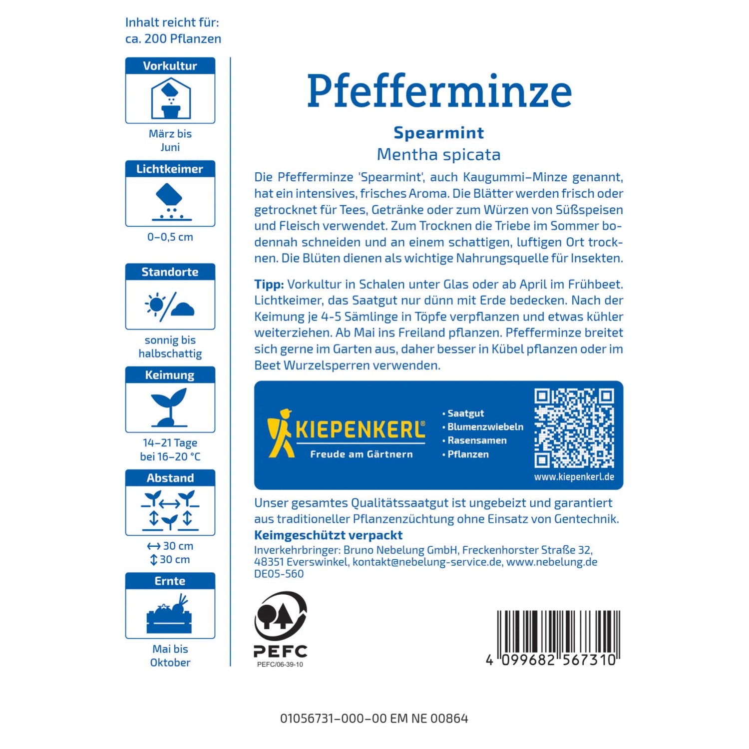 Kiepenkerl Saatgut Pfefferminze Spearmint: Aromatisches Kraut für Garten und Balkon.