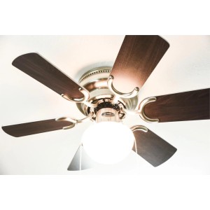 WESTINGHOUSE Deckenventilator Petite Nickel, 76 cm, mit Beleuchtung und Zugketten. Flügel in Rosenholz und Wengeholz.