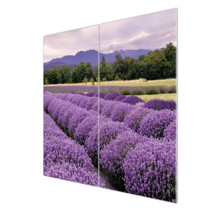 Banjado 2-teilige Herdabdeckplatte aus Glas mit Lavendel-Motiv, je 30x52cm.