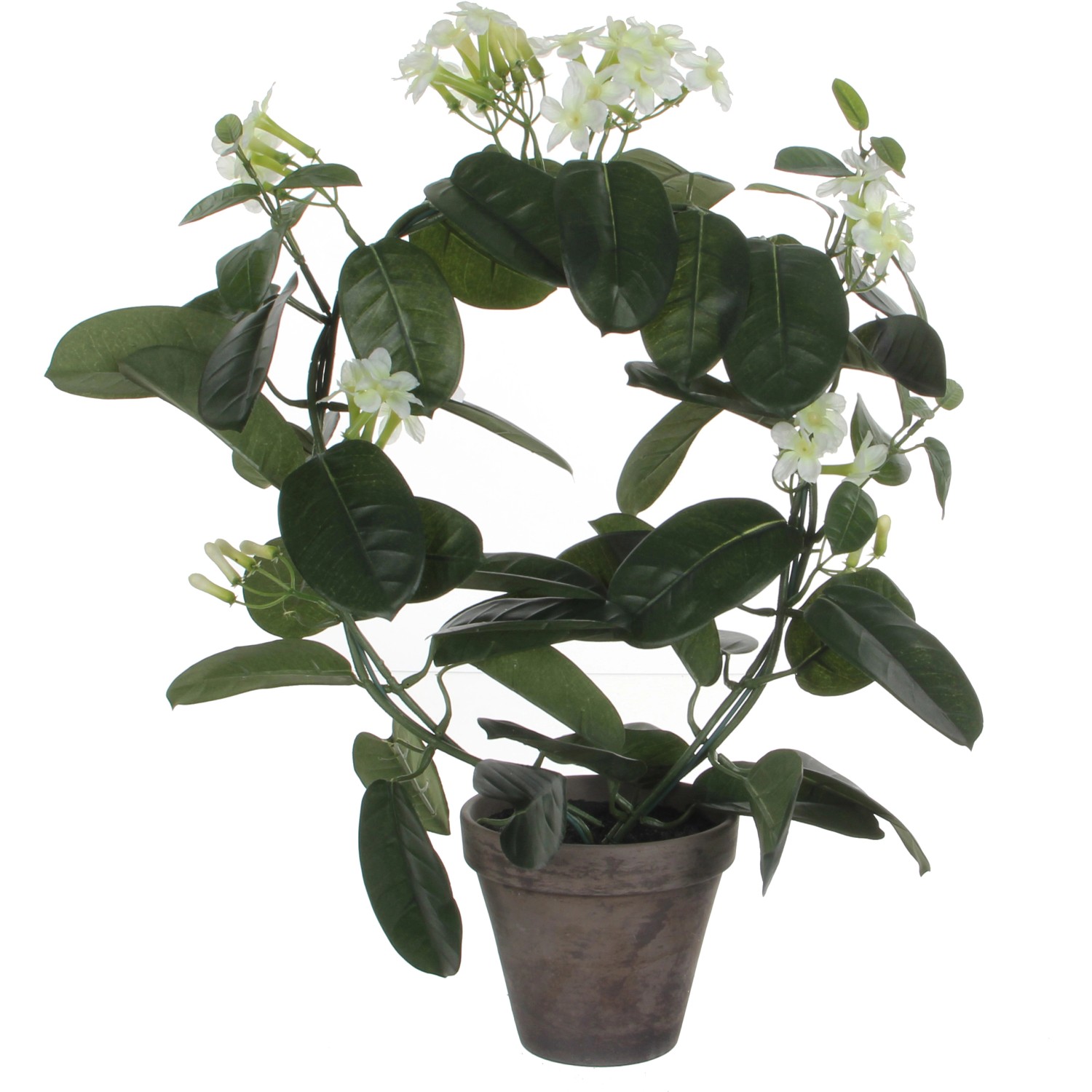 Mica Decorations Kunstpflanze Stephanotis im Blumentopf Stan Ø 40 x 50 cm W günstig online kaufen