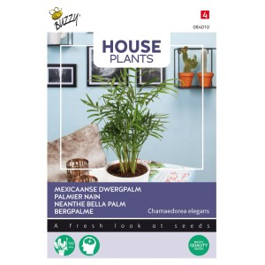 Bergpalme Buzzy House Plants Samen Ca. 15 Samen Zimmerpflanze