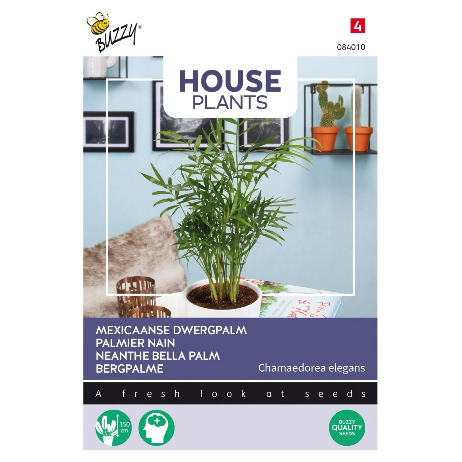 Bergpalme Buzzy House Plants Samen Ca. 15 Samen Zimmerpflanze