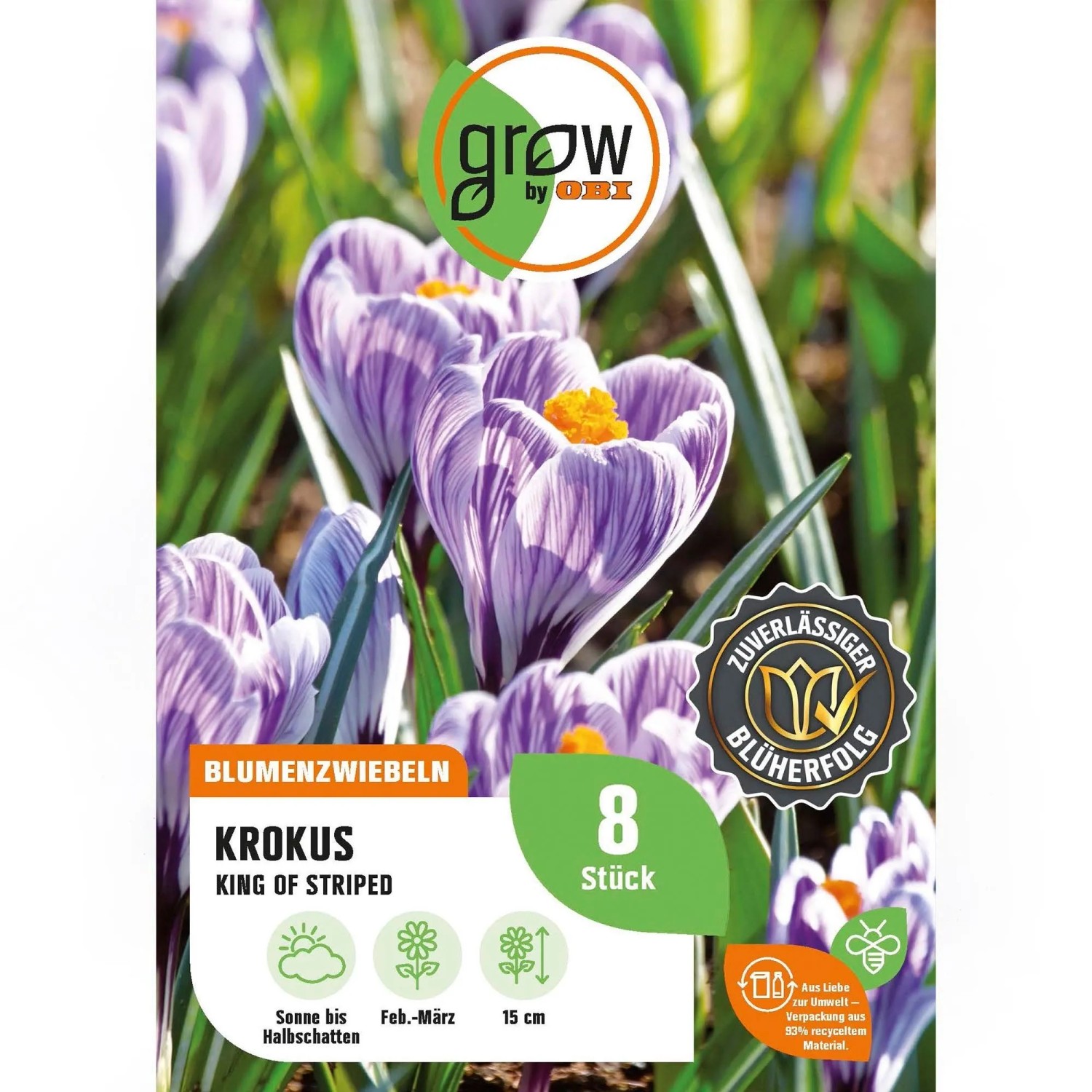 GROW by OBI Krokus King of theStriped 8 Stück Crocus vernus King of the Striped