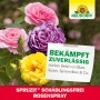 Neudorff Spruzit AF RosenSpray mit Rosen in Gelb, Rosa und Lila. Bekämpft zuverlässig Schädlinge.