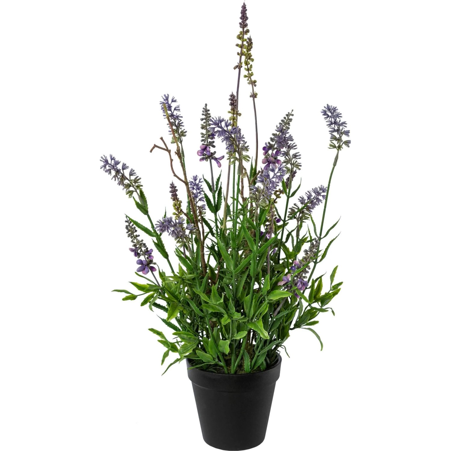 Modern Living Kunstpflanze Lavendel II Grün/Schwarz