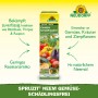 Neudorff Spruzit NEEM GemüseSchädlingsfrei 75ml Packung zur Schädlingsbekämpfung im Garten.