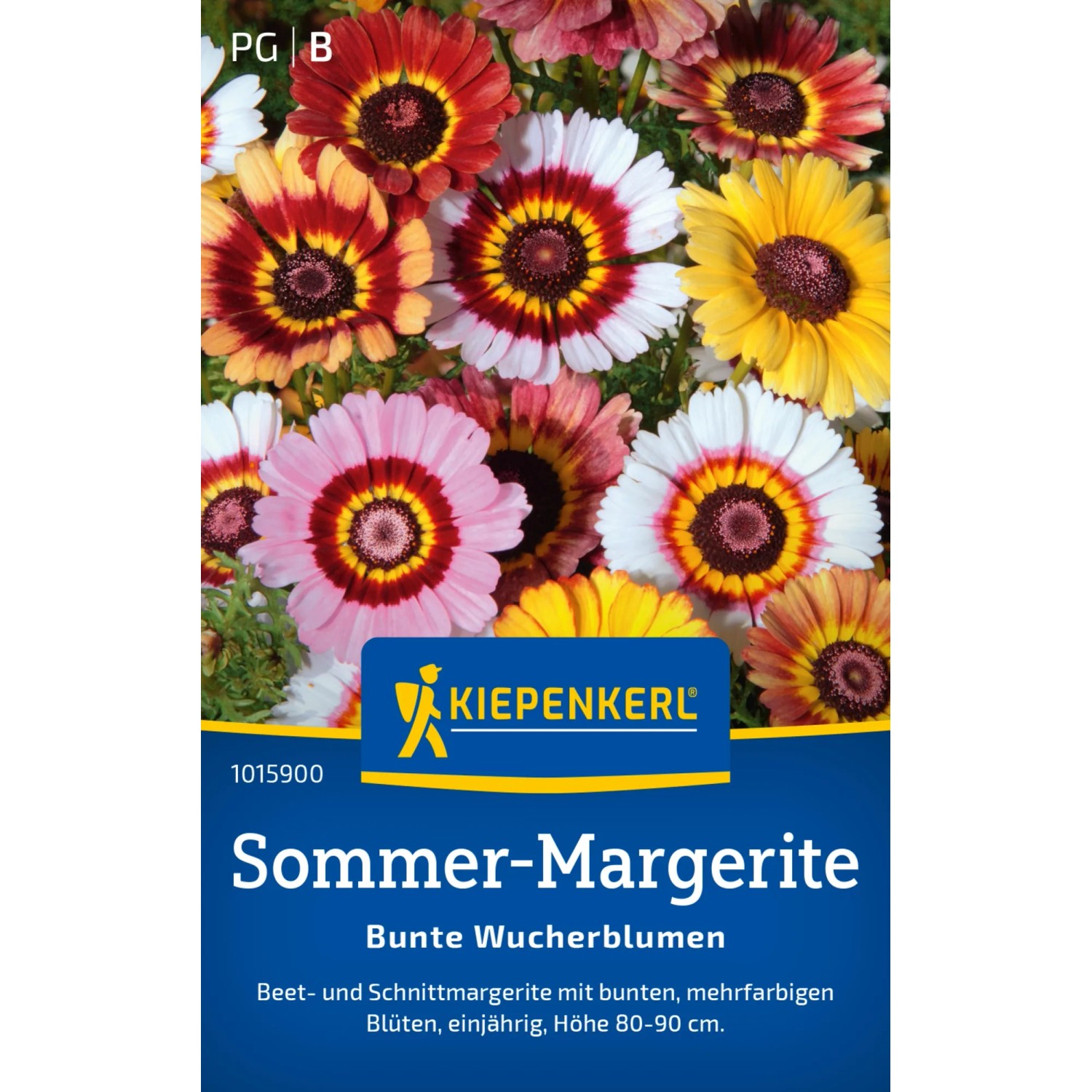Kiepenkerl Sommer-Margerite "Bunte Wucherblumen" Chrysanthemum carinatum