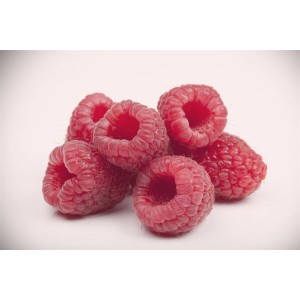 Frische, rote Himbeeren der Sorte Rubus Idaeus Boheme, ideal für den Garten.