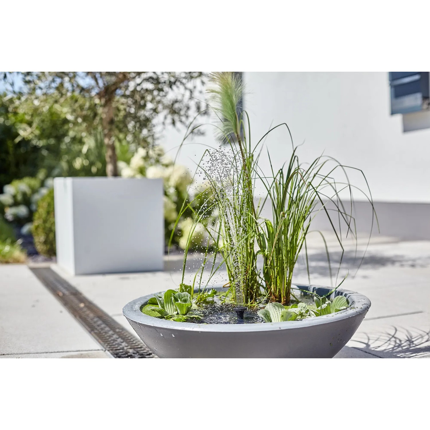 Heissner Solar-Wassergarten Lotusgarden mit Pflanzen und Wasserfontäne als Teichdeko.