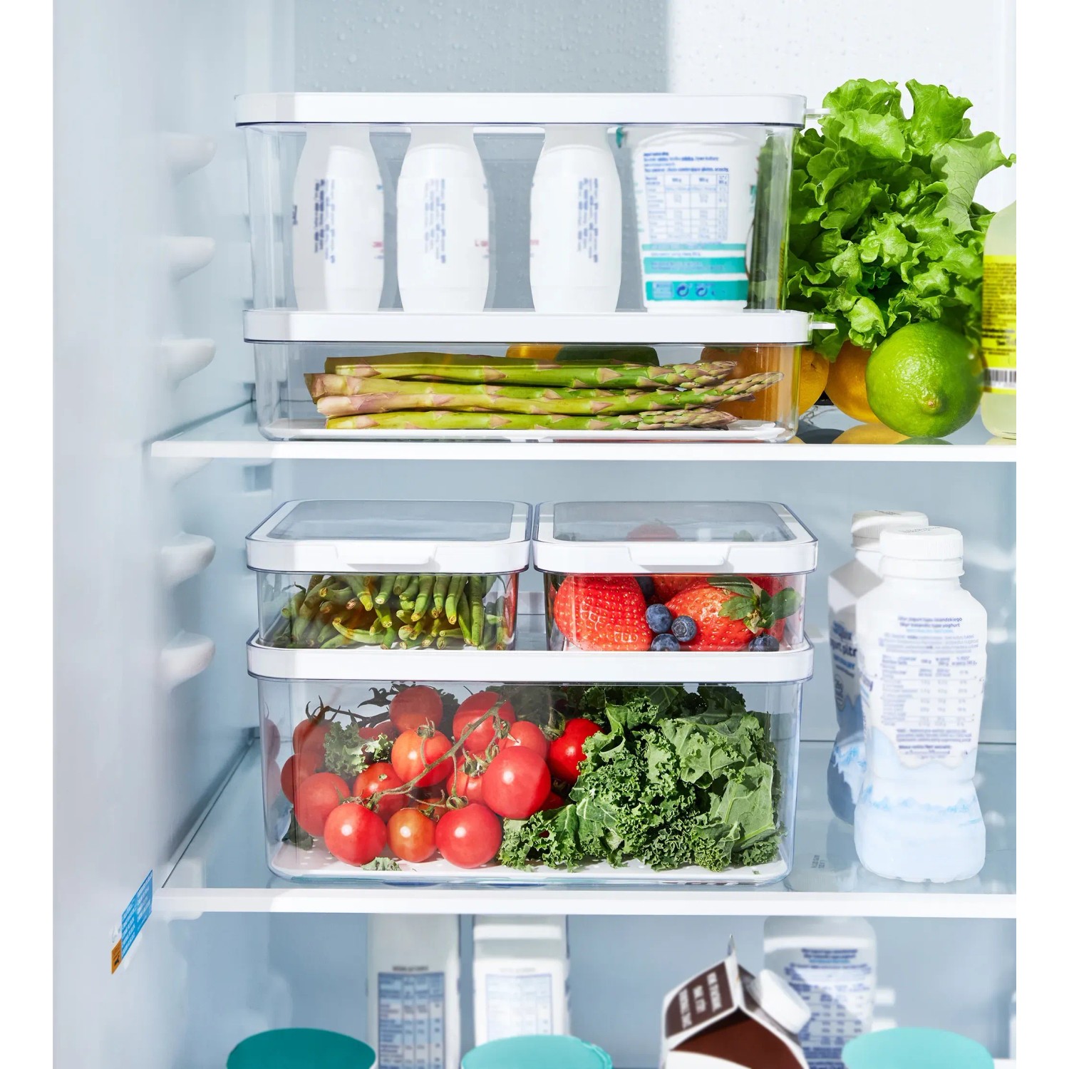 Rotho Kühlschrankorganizer-Set Cauma, 5-teilig, transparent, zur Aufbewahrung von Lebensmitteln im Kühlschrank.
