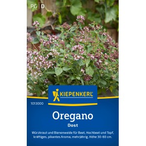 Kiepenkerl Oregano Dost: Mehrjährige Kräuterpflanze mit rosa Blüten, Bienenweide.