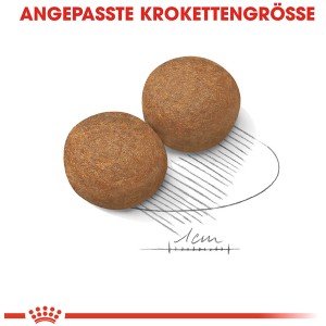 Royal Canin Maxi Adult 5+ Trockenfutter: Zwei Kroketten für ältere, große Hunde.