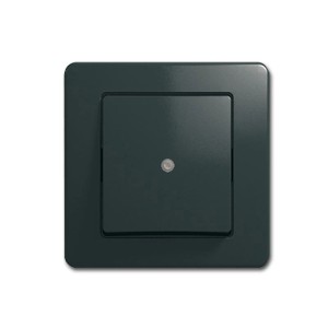 TEM EKONOMIK Kontroll Schalter Anthrazit 250V10A UP