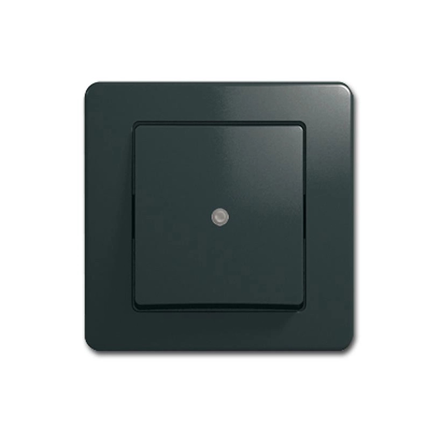 TEM EKONOMIK Kontroll Schalter Anthrazit 250V10A UP