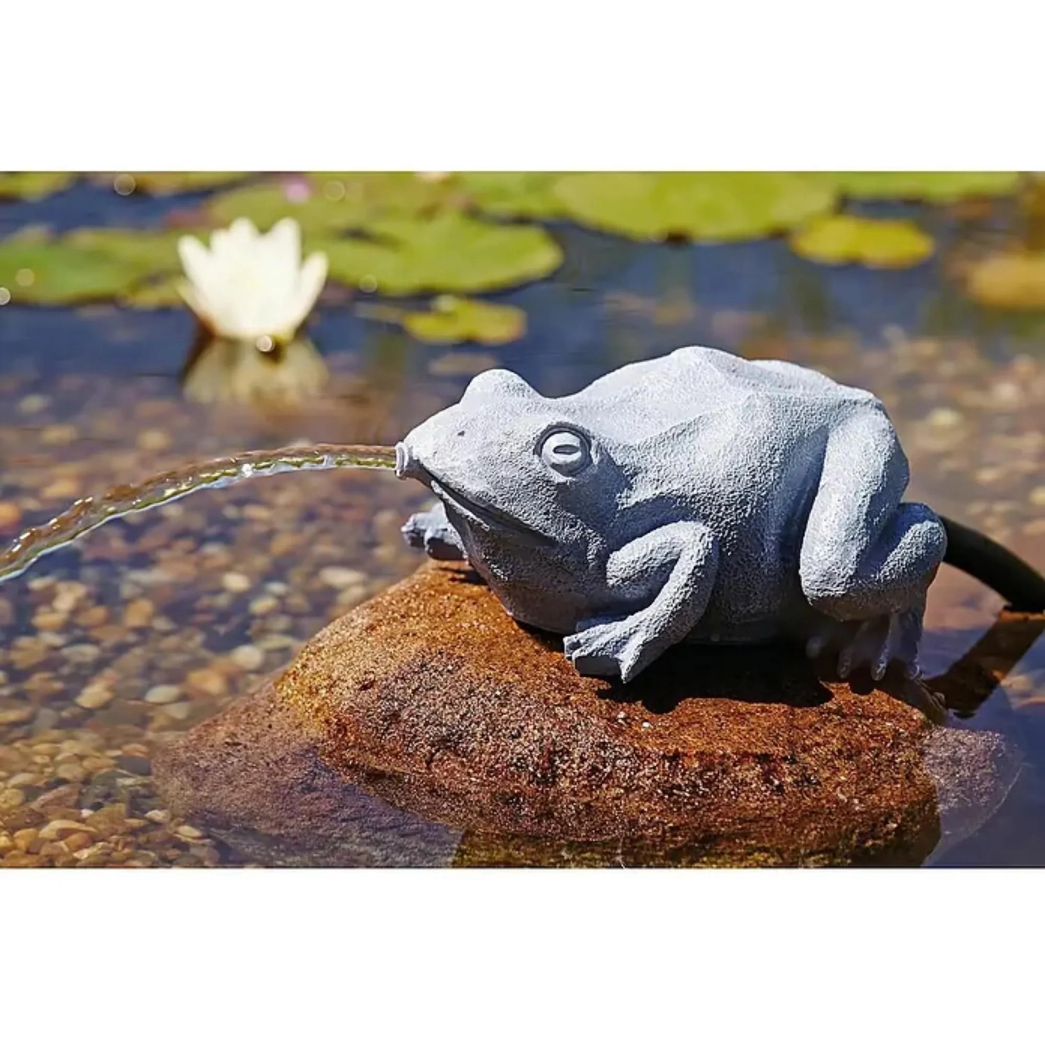 Oase Wasserspeier Frosch aus Polyresin im Teich, der Wasser spuckt.