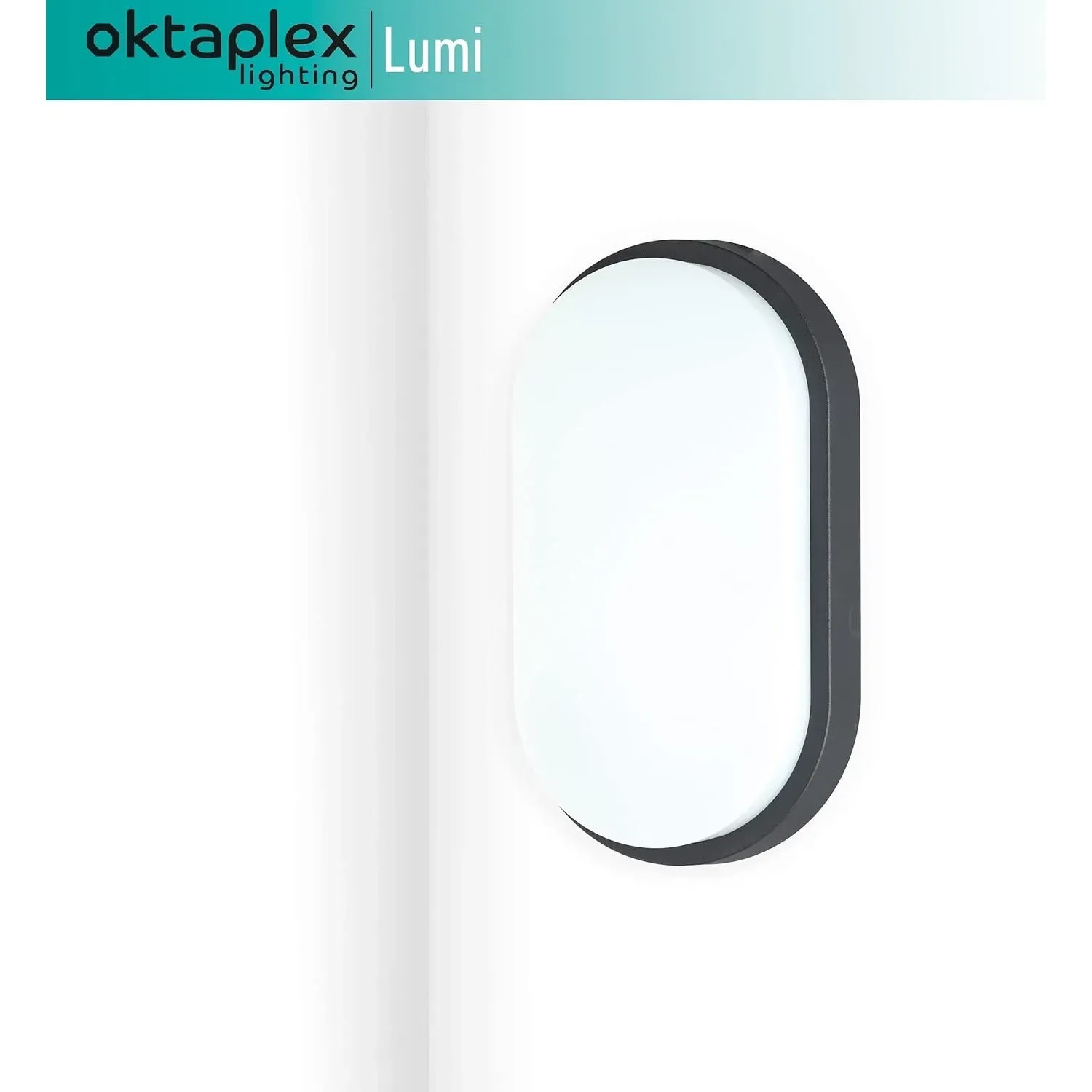Oktaplex LUMI MOTION - Applique Murale Extérieure LED 10W 800Lm 3000K Avec Détecteur De Mouvement IP54 – Anthracite