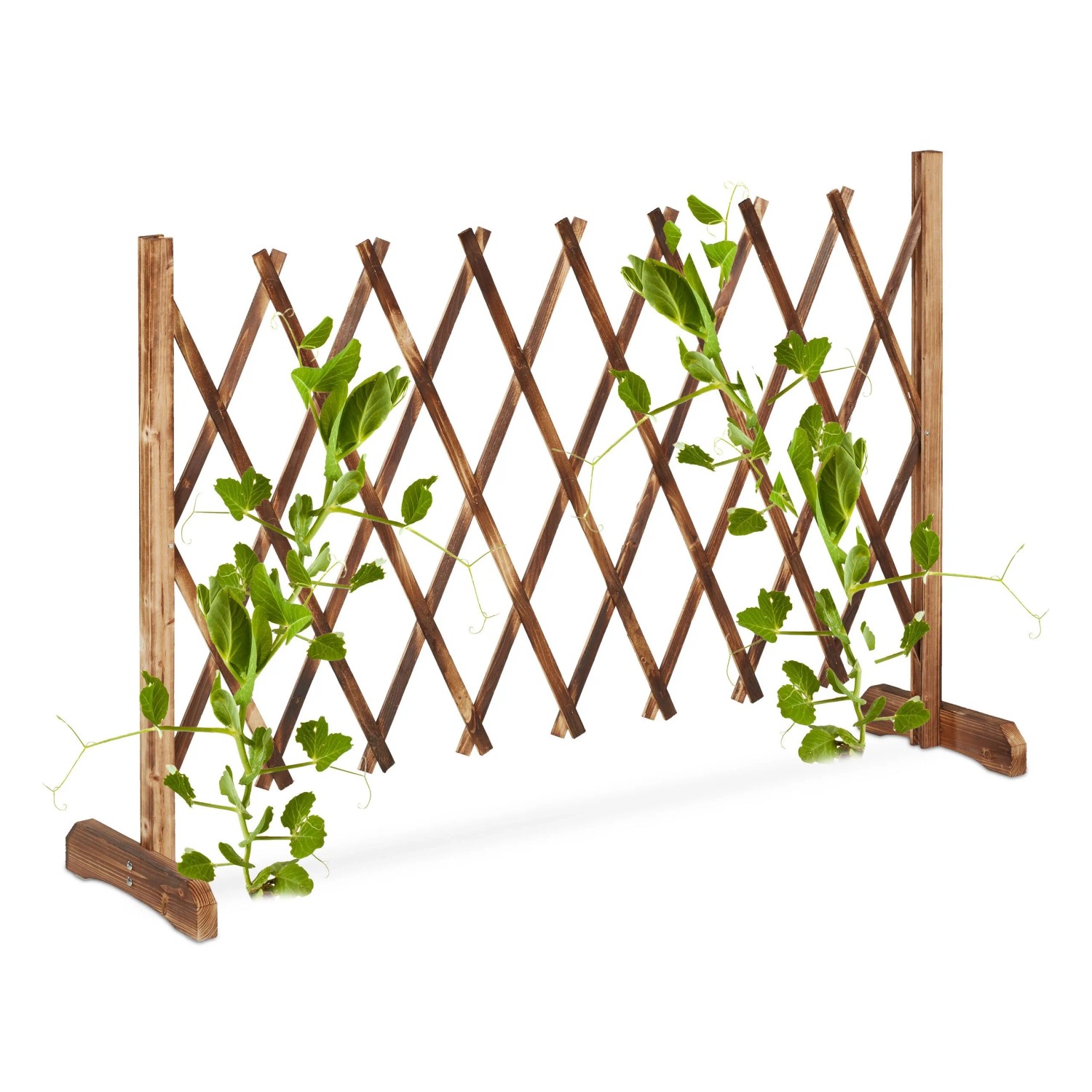 Relaxdays Rankgitter Tannenholz Natur Ausziehbar Freistehend 73 cm x 23 cm bis 185 cm x 28 cm 1 kg