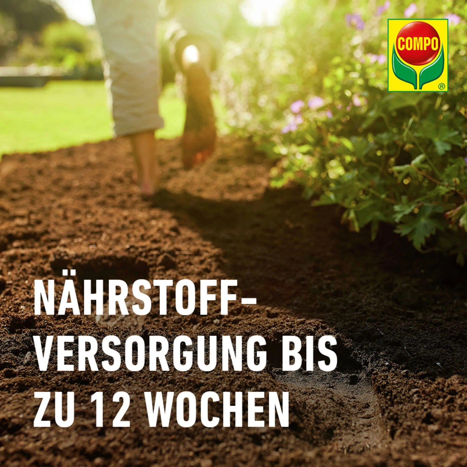 Compo Sana Geranienerde 1 x 70 l_5