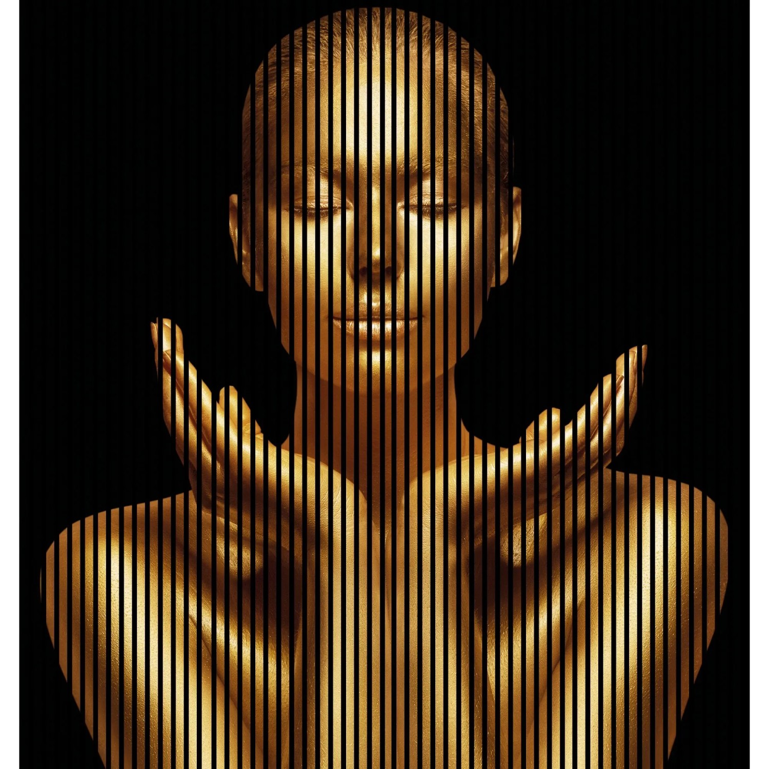 FN Acustico Akustikplatte Gold 1 PET u. MDF Foliert 2.253 x 19 x 2.400 mm