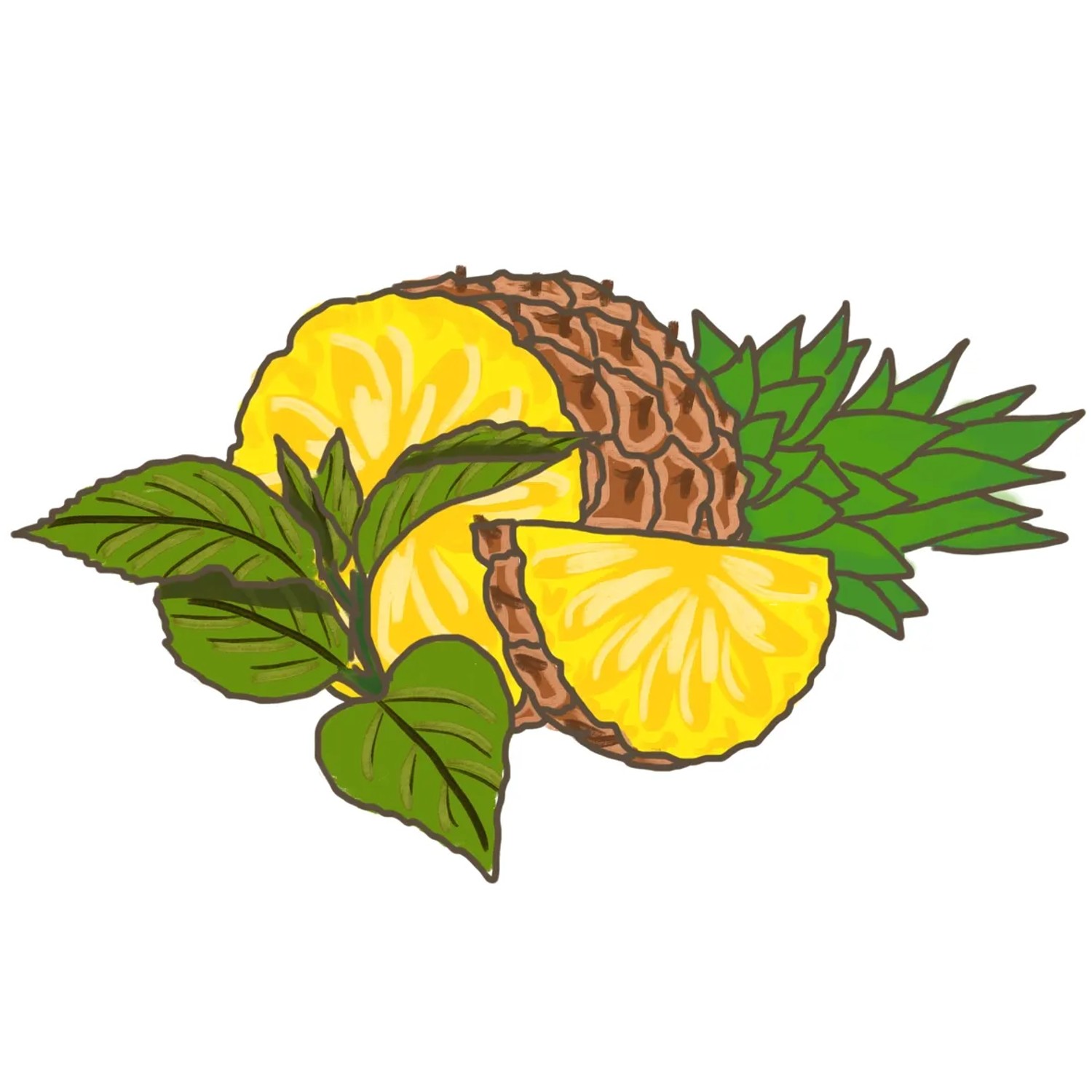 Illustration von Ananas-Salbei (Salvia) mit Ananasstücken und Blättern.