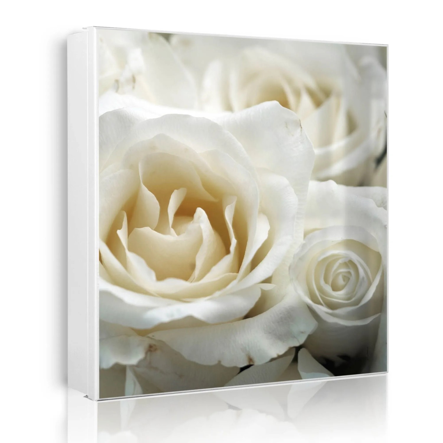 Banjado Großer Schlüsselkasten Metall 30x30cm Weiß Scharnier Rechts 50 Haken Beschreibbar Magnetisch Motiv White Roses