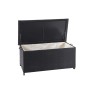 Schwarze Poly-Rattan Kissenbox (170l) mit offenem Deckel und Innenbezug.